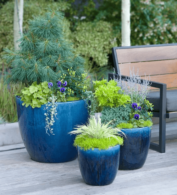 Classic large potted plant: ancient beauty for the garden