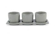 Erba Ceramic Planter Set with Disk