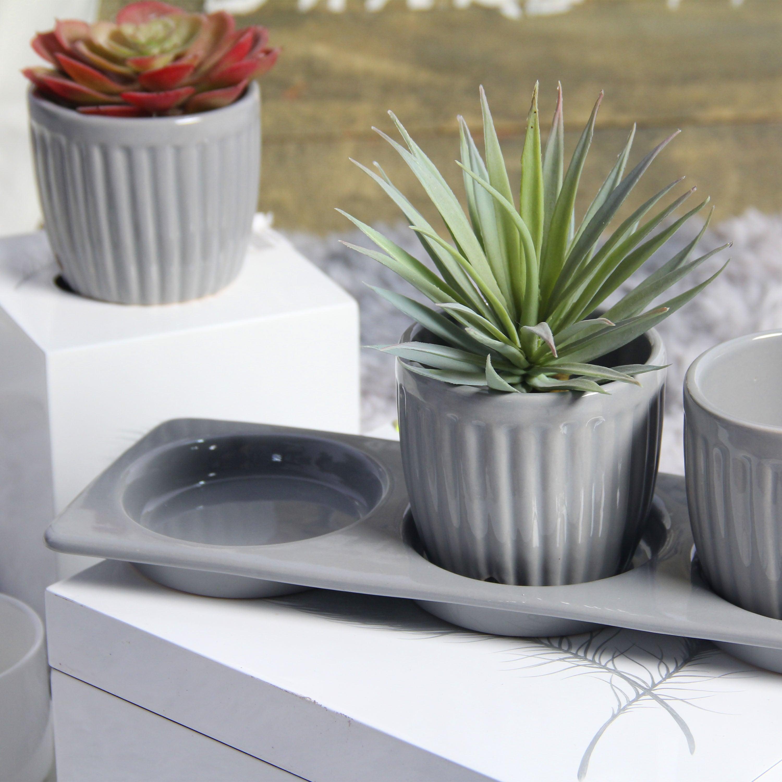 Erba  Light Grey Ceramic Planter Set with Disk - Aleefurnishing