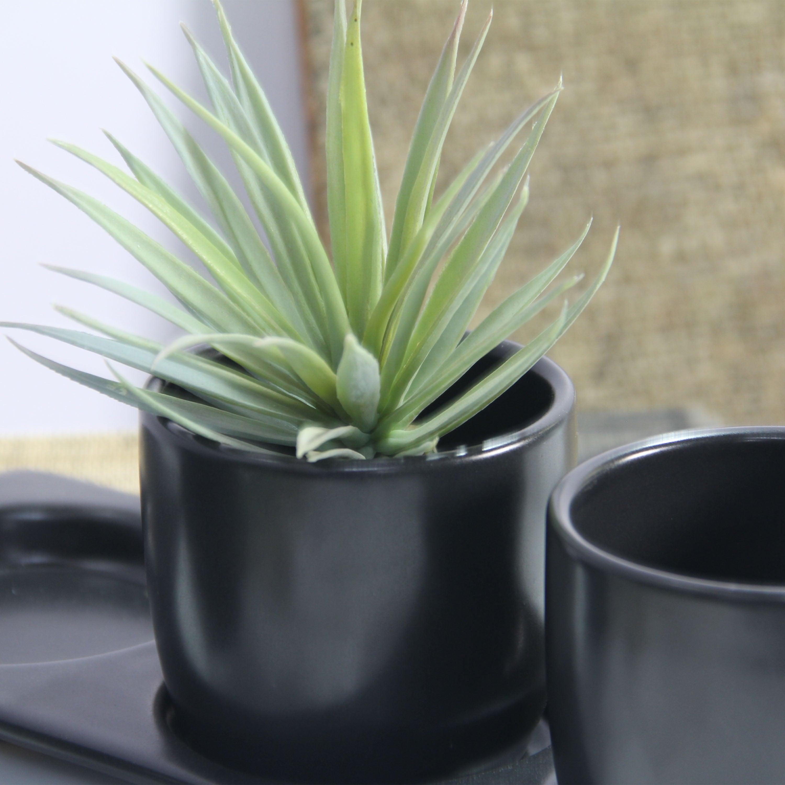 Segreto Black Ceramic Planter Set with Disk - Aleefurnishing