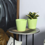 Circe Light Green Ceramic Planter - Aleefurnishing