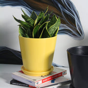 Domus Yellow Ceramic Planter Set with Dish - Aleefurnishing