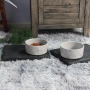 Pasto Paw Light Light Grey Ceramic Pet Bowl (Set of 2) - Aleefurnishing