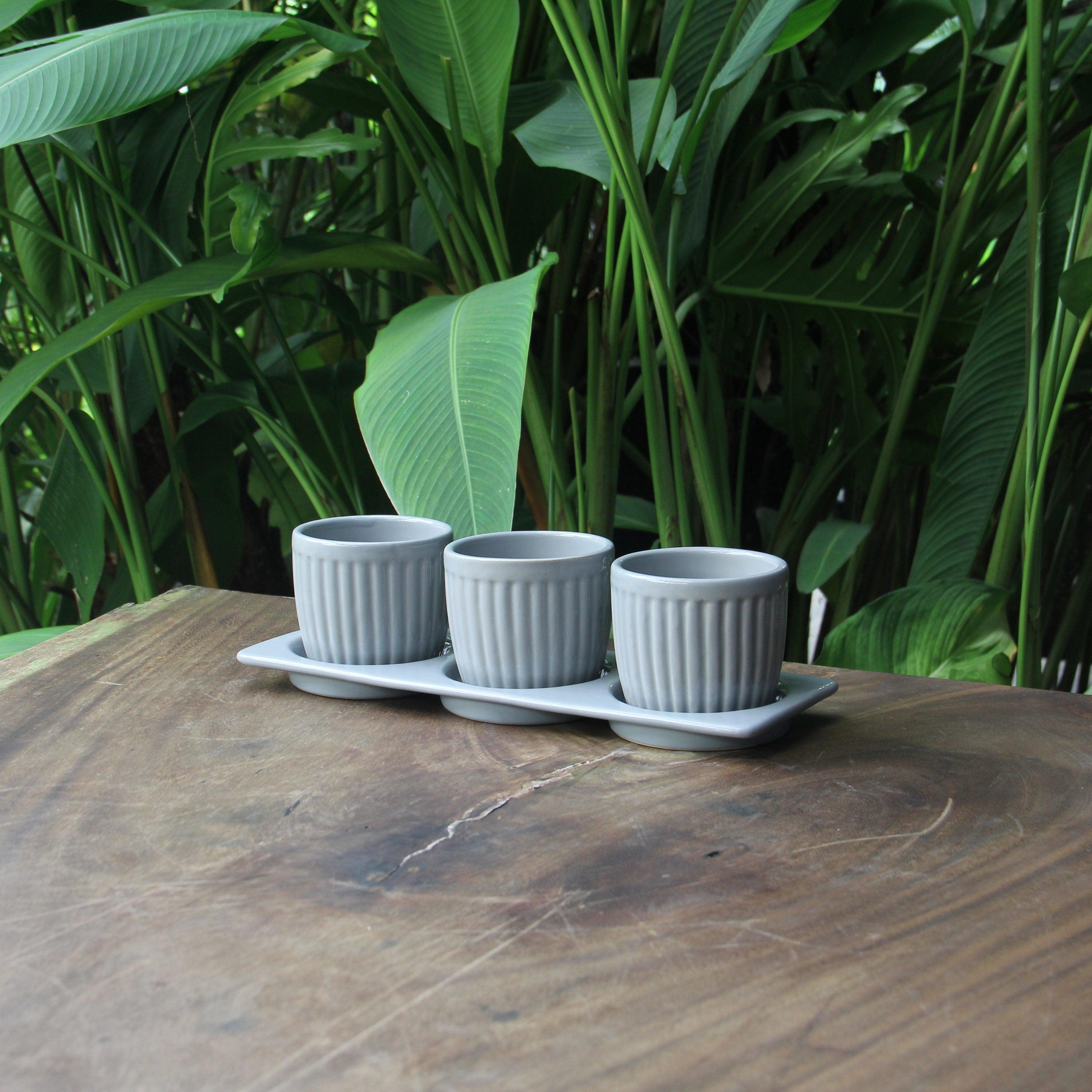 Erba  Light Grey Ceramic Planter Set with Disk - Aleefurnishing